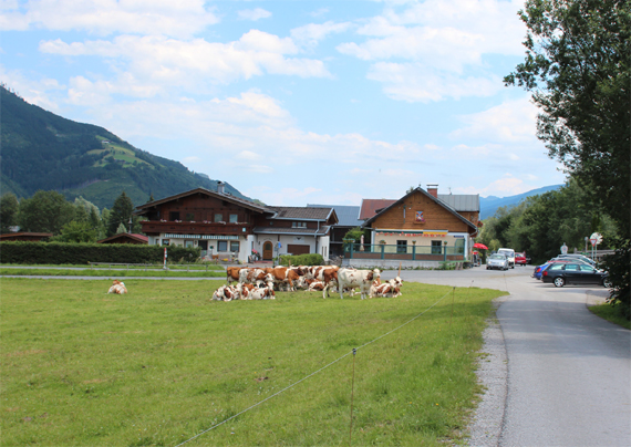 صور قرية كابرون النمسا