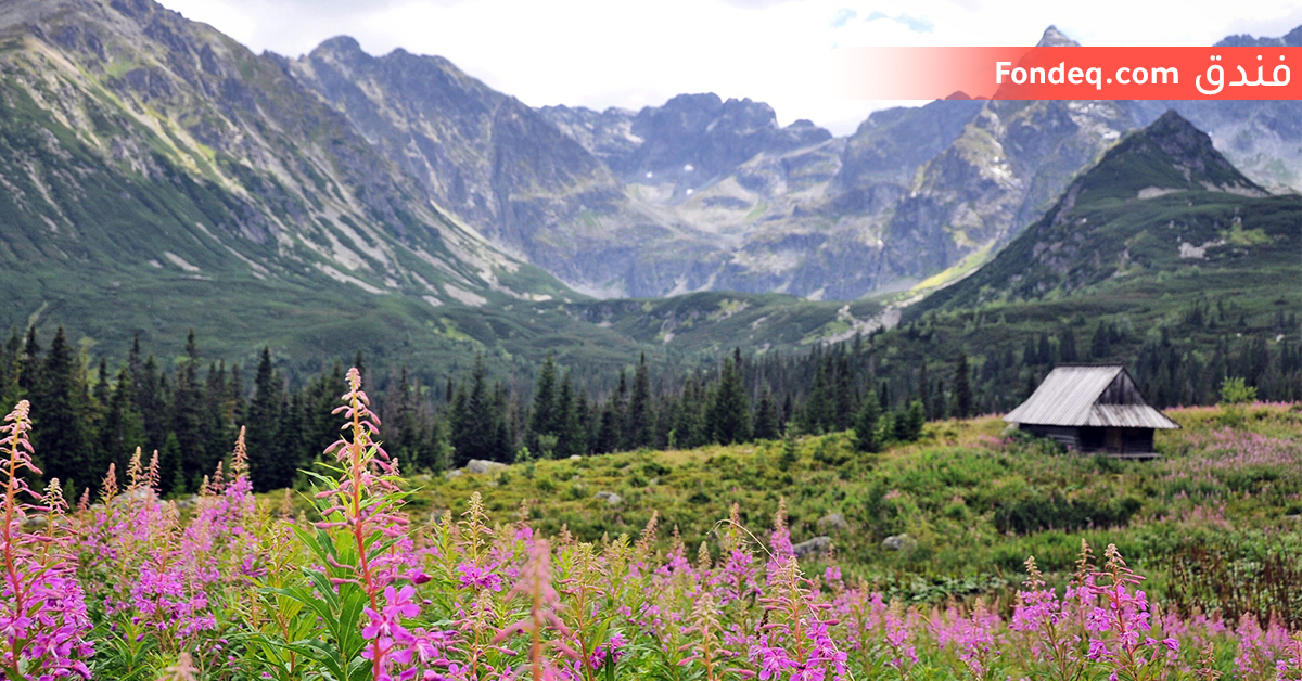 برنامج سياحي زاكوباني 7 ايام